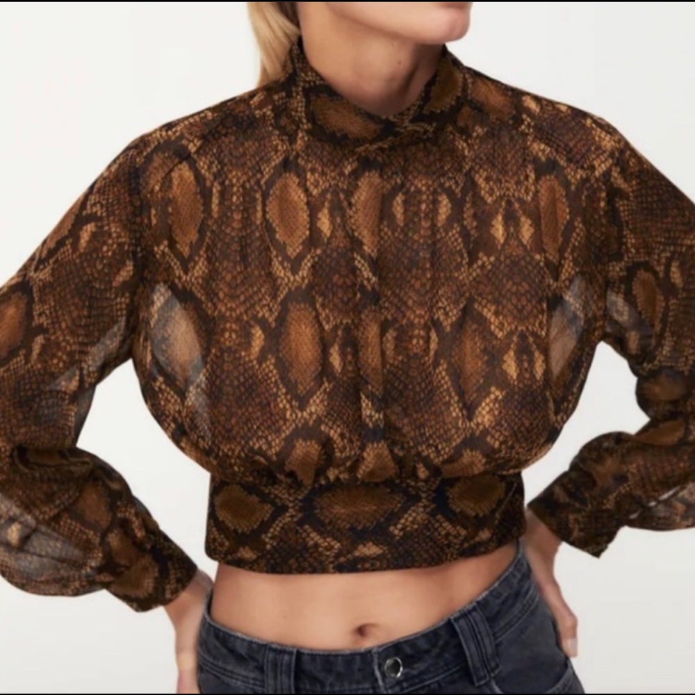 Zara Sheer Snakeskin Cropped Blouse
